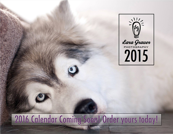 0012-QU-fundraisers-and-events-calendar-dogs