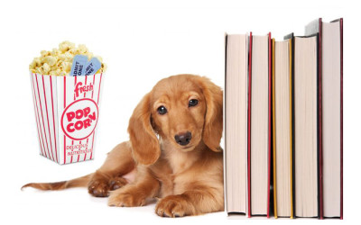 Q&U Favorite Books & Movies Staring a Rescue Pet