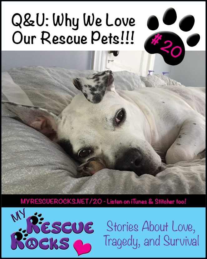 0020_QU_why_we_love_our_rescue_pets_2aftertrim