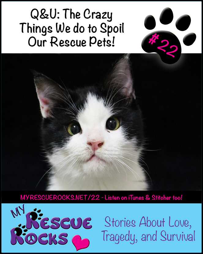 0022_QU_the_crazy_things_we_do_to_spoil_our_rescue_pets
