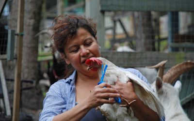 The Birth of an Animal Sanctuary with Sandra Cordero